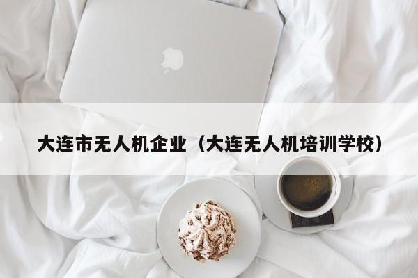 大连市无人机企业（大连无人机培训学校）