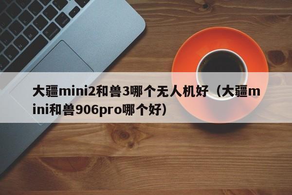 大疆mini2和兽3哪个无人机好（大疆mini和兽906pro哪个好）