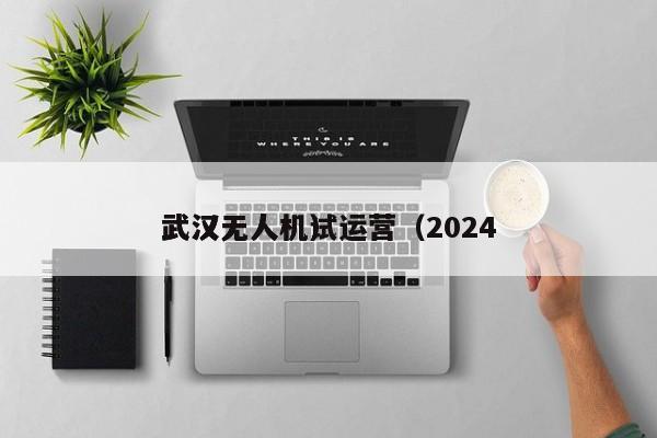 武汉无人机试运营（2024
武汉无人机）