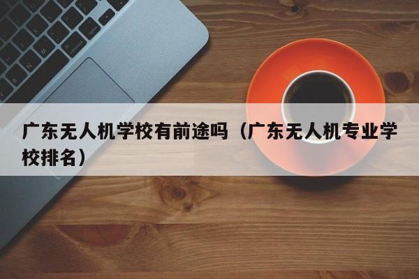 广东无人机学校有前途吗（广东无人机专业学校排名）