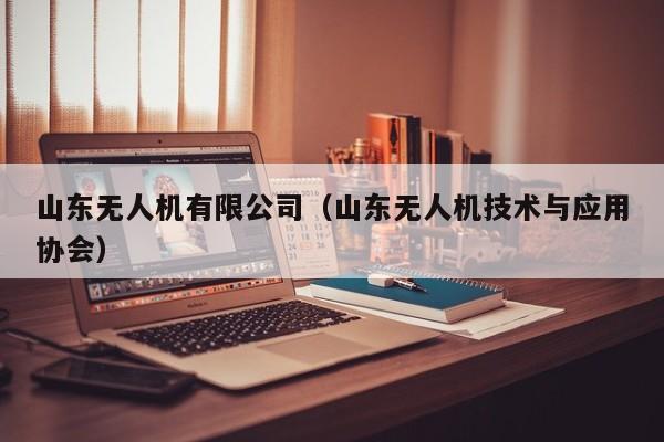 山东无人机有限公司（山东无人机技术与应用协会）