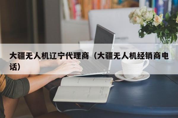 大疆无人机辽宁代理商（大疆无人机经销商电话）