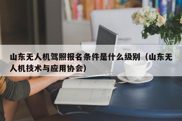 山东无人机驾照报名条件是什么级别（山东无人机技术与应用协会）