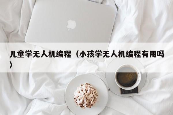 儿童学无人机编程（小孩学无人机编程有用吗）