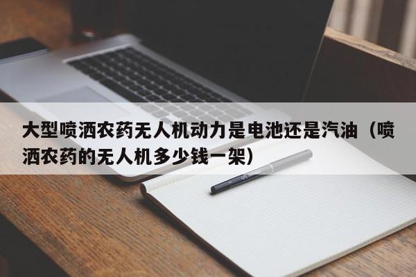 大型喷洒农药无人机动力是电池还是汽油（喷洒农药的无人机多少钱一架）