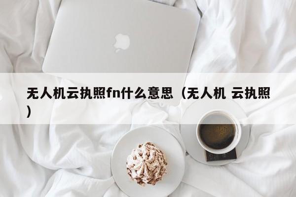 无人机云执照fn什么意思（无人机 云执照）