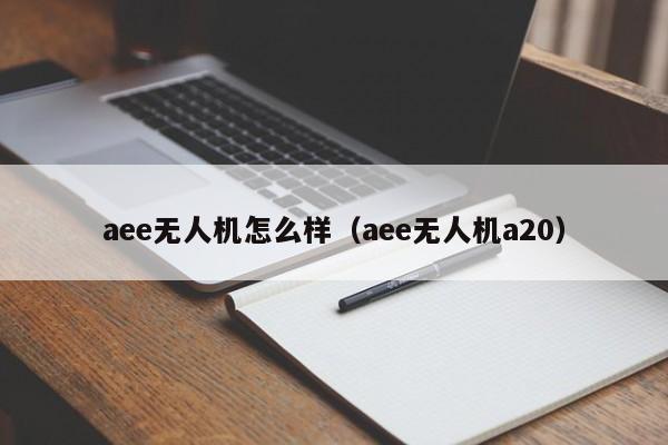 aee无人机怎么样（aee无人机a20）