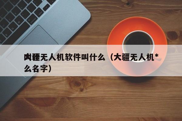 大疆无人机软件叫什么（大疆无人机*
叫什么名字）