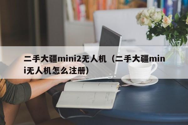 二手大疆mini2无人机（二手大疆mini无人机怎么注册）