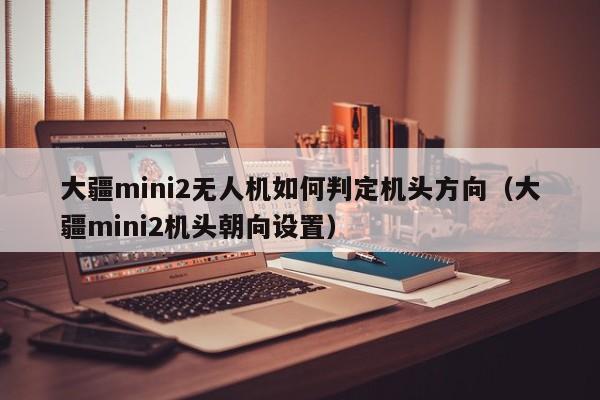 大疆mini2无人机如何判定机头方向（大疆mini2机头朝向设置）