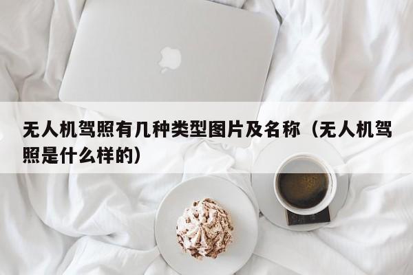 无人机驾照有几种类型图片及名称（无人机驾照是什么样的）