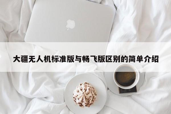 大疆无人机标准版与畅飞版区别的简单介绍