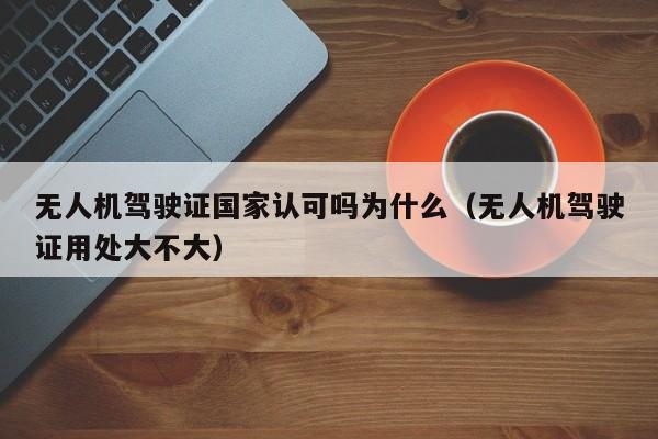 无人机驾驶证国家认可吗为什么（无人机驾驶证用处大不大）