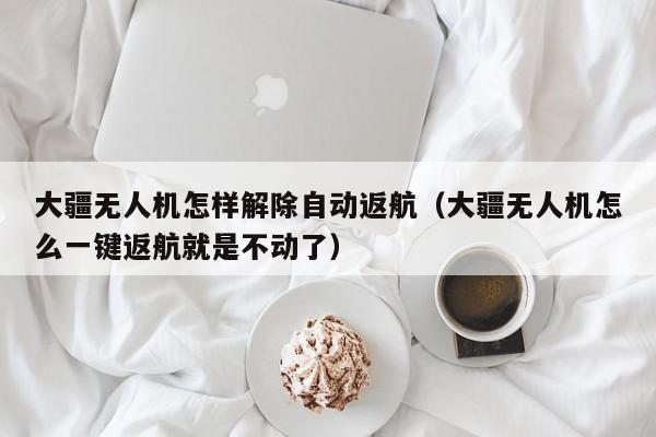 大疆无人机怎样解除自动返航（大疆无人机怎么一键返航就是不动了）