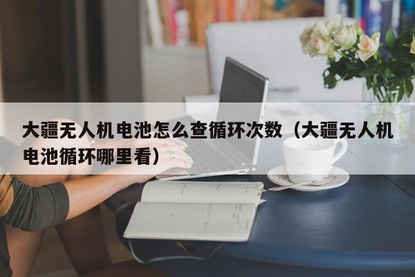 大疆无人机电池怎么查循环次数（大疆无人机电池循环哪里看）