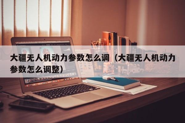 大疆无人机动力参数怎么调（大疆无人机动力参数怎么调整）