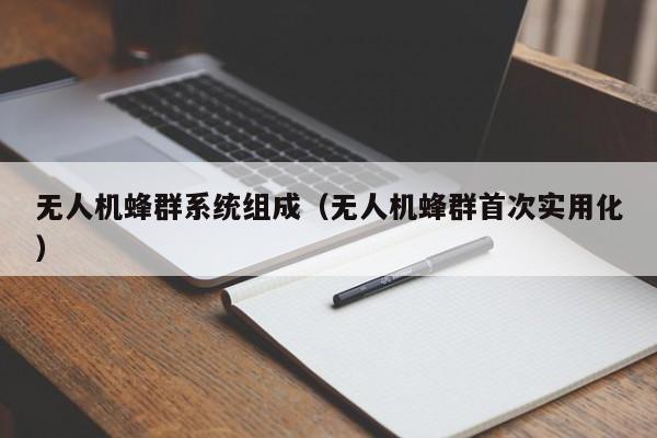 无人机蜂群系统组成（无人机蜂群首次实用化）