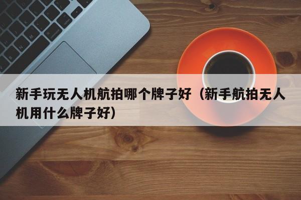 新手玩无人机航拍哪个牌子好（新手航拍无人机用什么牌子好）