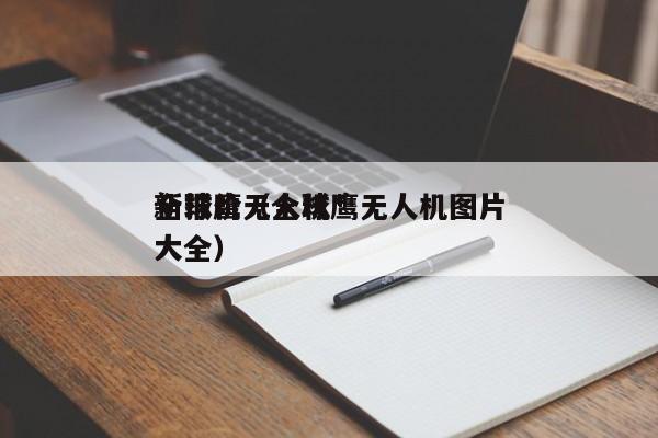 全球鹰无人机*
新报价（全球鹰无人机图片大全）