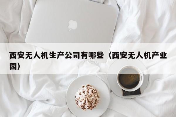 西安无人机生产公司有哪些（西安无人机产业园）