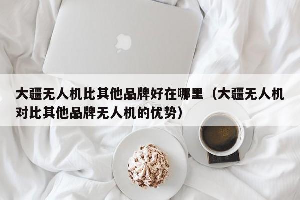 大疆无人机比其他品牌好在哪里（大疆无人机对比其他品牌无人机的优势）