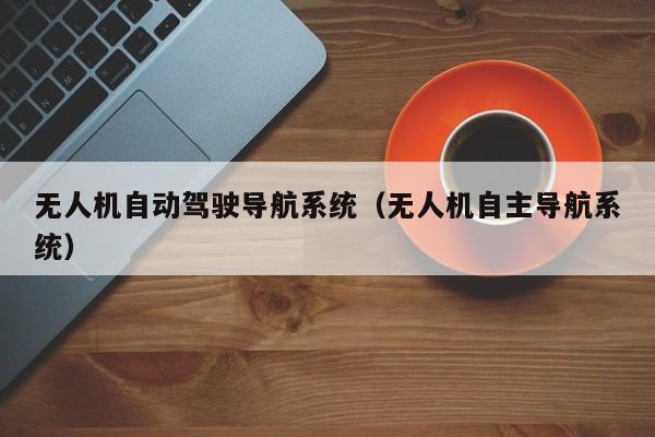 无人机自动驾驶导航系统（无人机自主导航系统）