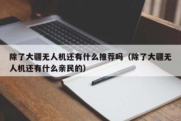 除了大疆无人机还有什么推荐吗（除了大疆无人机还有什么亲民的）