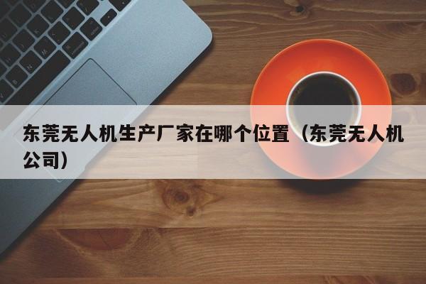 东莞无人机生产厂家在哪个位置（东莞无人机公司）