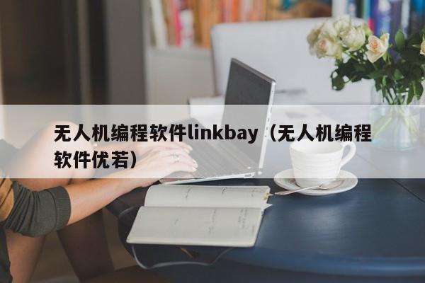 无人机编程软件linkbay（无人机编程软件优若）