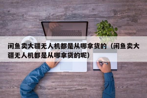 闲鱼卖大疆无人机都是从哪拿货的（闲鱼卖大疆无人机都是从哪拿货的呢）