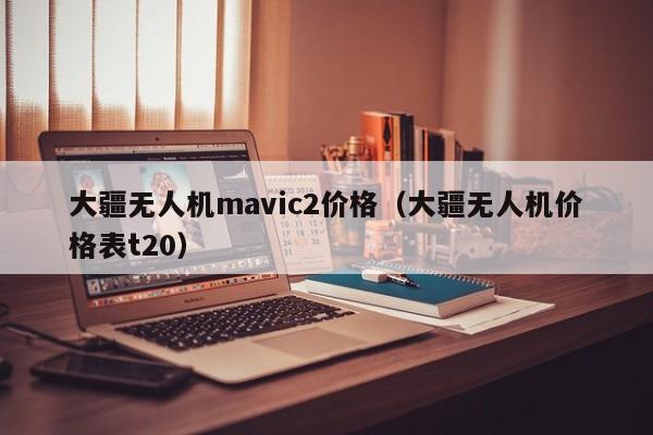 大疆无人机mavic2价格（大疆无人机价格表t20）