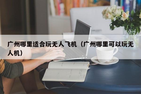 广州哪里适合玩无人飞机（广州哪里可以玩无人机）