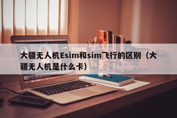 大疆无人机Esim和sim飞行的区别（大疆无人机是什么卡）