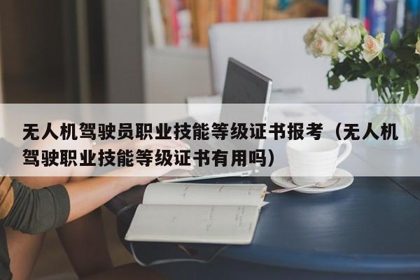 无人机驾驶员职业技能等级证书报考（无人机驾驶职业技能等级证书有用吗）