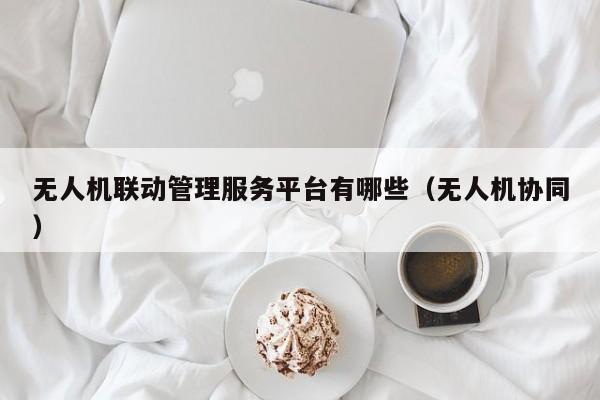 无人机联动管理服务平台有哪些（无人机协同）