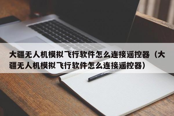 大疆无人机模拟飞行软件怎么连接遥控器（大疆无人机模拟飞行软件怎么连接遥控器）