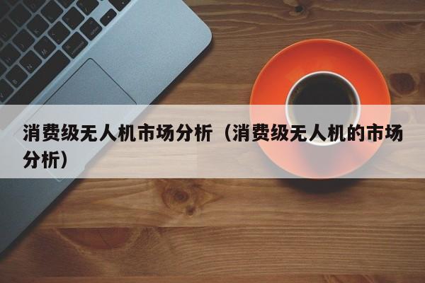 消费级无人机市场分析（消费级无人机的市场分析）