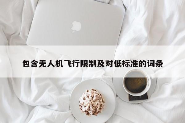 包含无人机飞行限制及对低标准的词条