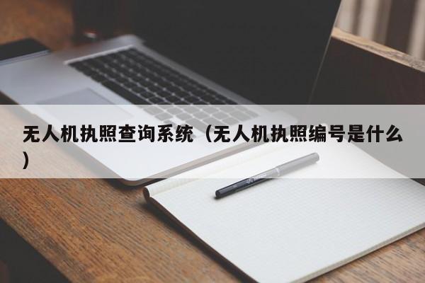 无人机执照查询系统（无人机执照编号是什么）