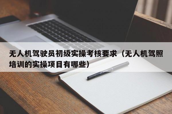 无人机驾驶员初级实操考核要求（无人机驾照培训的实操项目有哪些）