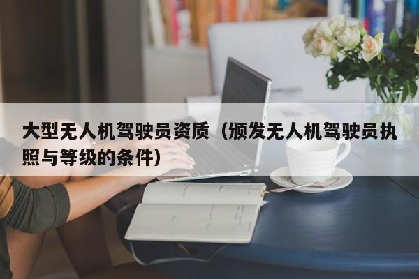 大型无人机驾驶员资质（颁发无人机驾驶员执照与等级的条件）