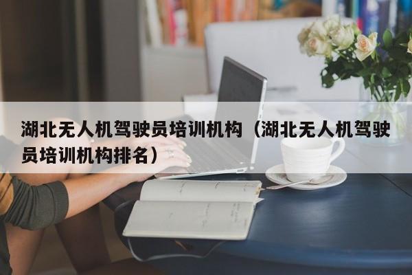 湖北无人机驾驶员培训机构（湖北无人机驾驶员培训机构排名）