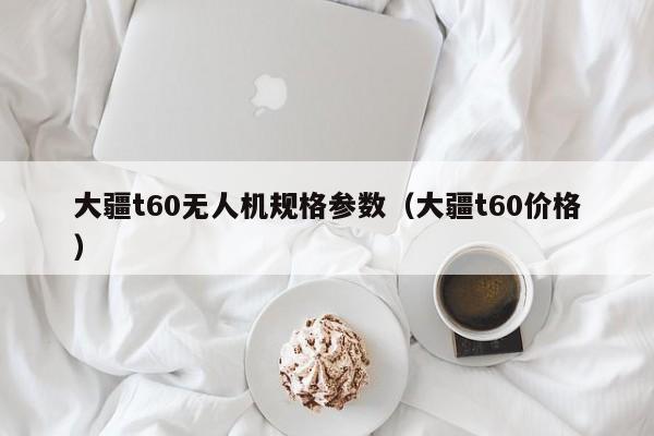 大疆t60无人机规格参数（大疆t60价格）