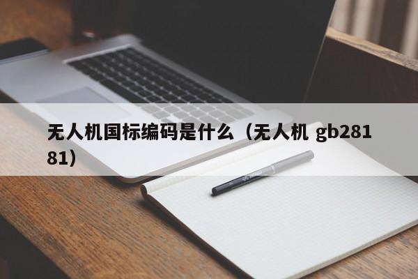 无人机国标编码是什么（无人机 gb28181）