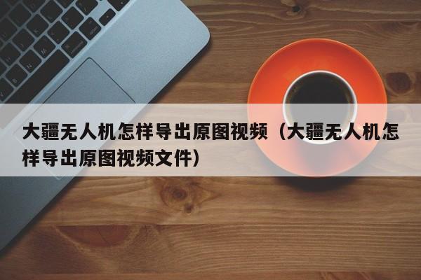 大疆无人机怎样导出原图视频（大疆无人机怎样导出原图视频文件）