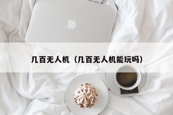 几百无人机（几百无人机能玩吗）