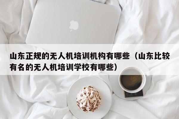 山东正规的无人机培训机构有哪些（山东比较有名的无人机培训学校有哪些）