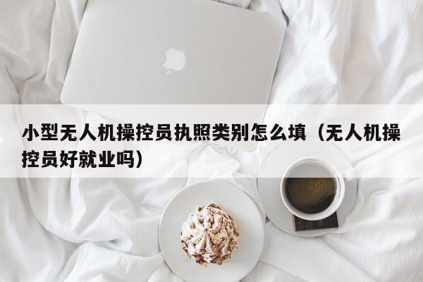 小型无人机操控员执照类别怎么填（无人机操控员好就业吗）