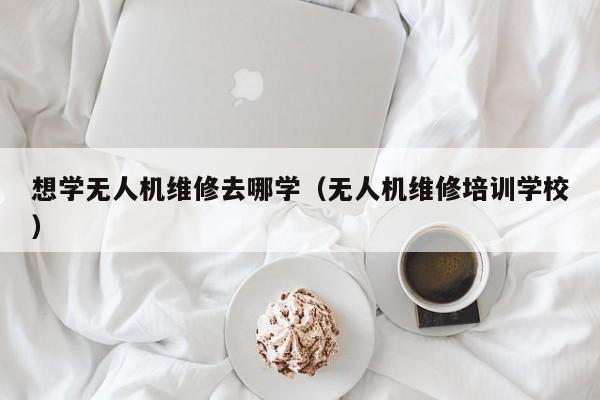 想学无人机维修去哪学（无人机维修培训学校）