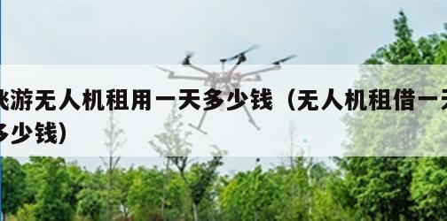 飞游无人机租用一天多少钱（无人机租借一天多少钱）